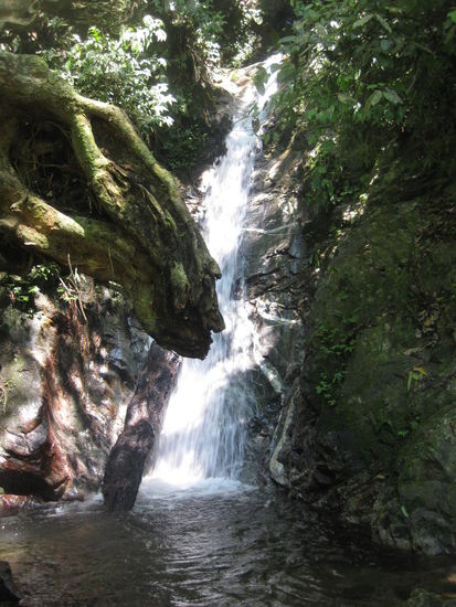 Wasserfall mit Gesicht (seht Ihr's?)