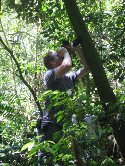 Claus auf den Spuren von Wallace!