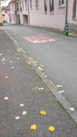 Ein Le Hüppel in freier Wildbahn.