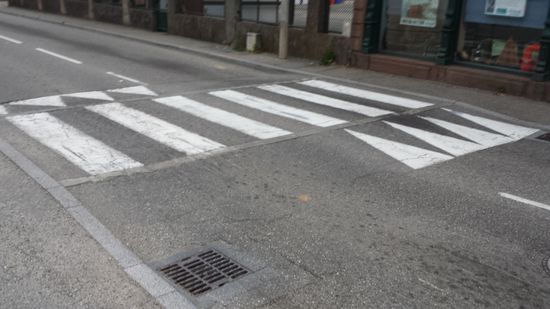 Ein ausgewachsenes Exemplar.