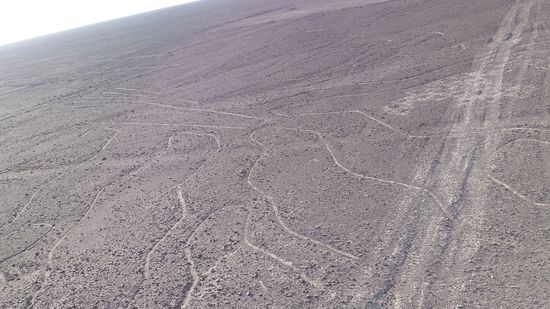 Die Nazca Linien