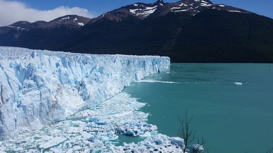 Der Perito Moreno Gletscher (5 km breit und 60 m hoch). Einer der wenigen argentinischen Gletscher, die nicht an Größe verlieren. Und trotzdem kommt er pro Tag bis zu 2 m voran und "kalbt" in seiner Gletscherzunge ständig neue Eisberge.