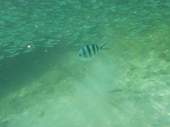 Unser Schnappschuss!