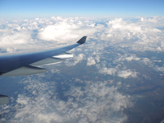 Unser 1. Blick auf Australien