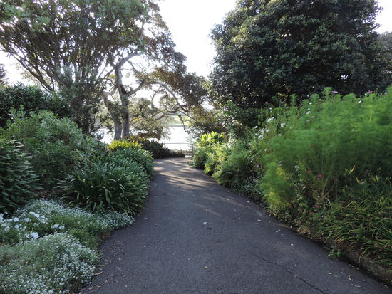 Durch den Royal Botanic Garden....