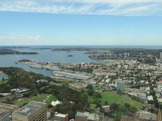 Der Ausblick vom Sydney Tower auf Kings Cross