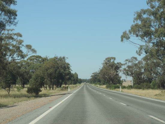 Unser Highway - immer schön geradeaus!