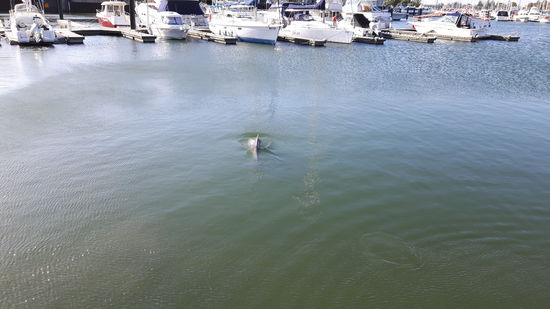 Der einzige Schnappschuss❤ und der kann leider nicht wiedergeben, wie aufregend dieser Moment war