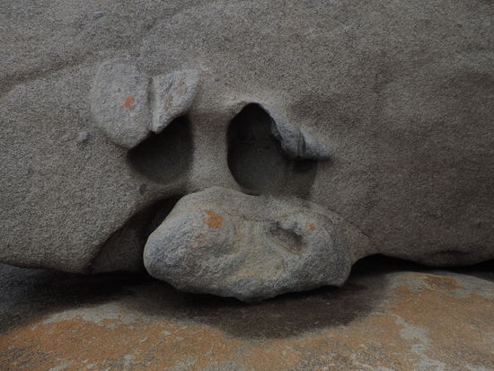 Sieht ein bisschen so aus wie Mutter Weide oder?