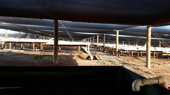 Das sind die Pipes auf der Farm