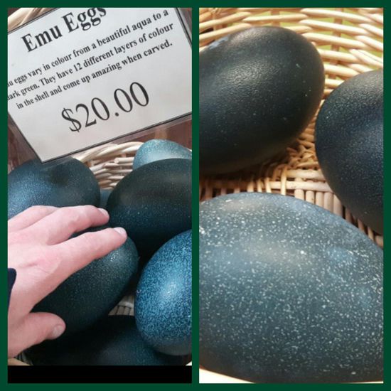 Emu Eggs 
