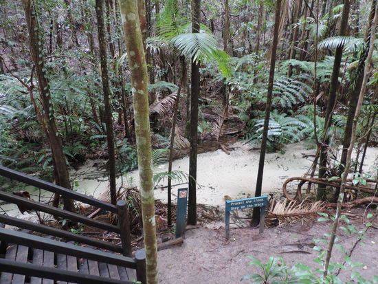 Wir dachten zuerst das Wasser sei so dreckig wie Schlamm und dann realisierten wir, dass glasklares Wasser über Sand floss!