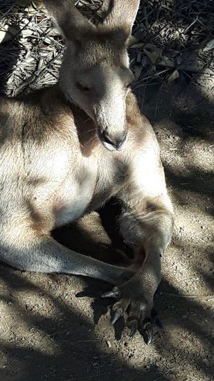 Vor dem Großen hatten wir erst etwas Respekt