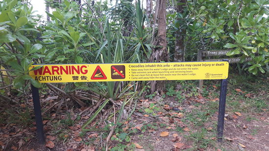 Nur dieses Warnschild hielt uns vom Schwimmen ab!