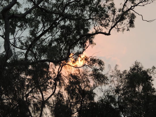 In der Nähe war wohl ein kontrolliertes Feuer, weswegen die Sonne den ganzen Tag hinter diesem Dunst verschwand....