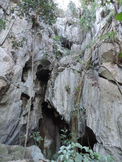 Der Eingang zu den Capricorn Caves