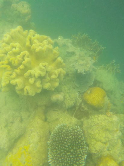 Wie schon gesagt: etwas trüb