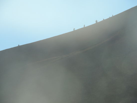 Da laufen sie alle nach oben