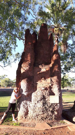 Ein riesiger Termitenhügel in Mataranka