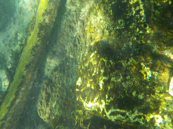 Mit glasklarem, warmen Wasser