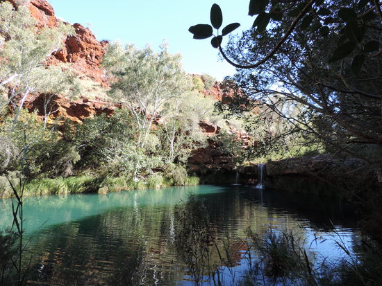 Fern Pool
