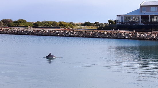 Hier sahen wir auch nochmal Delfine ❤