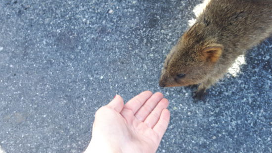 Total zutraulich die Kleinen