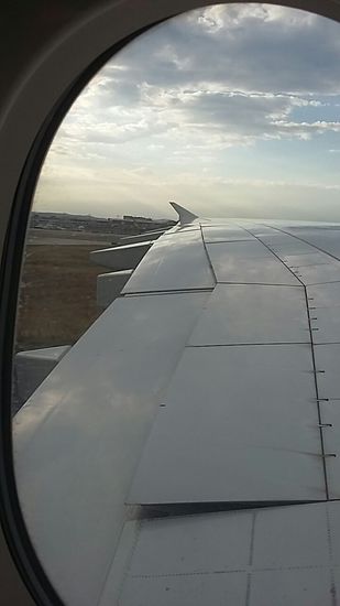 Landung in Frankfurt