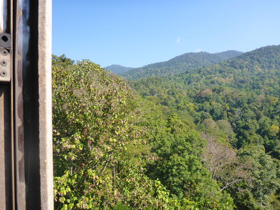 Aussicht aus meinem Schlafbett
