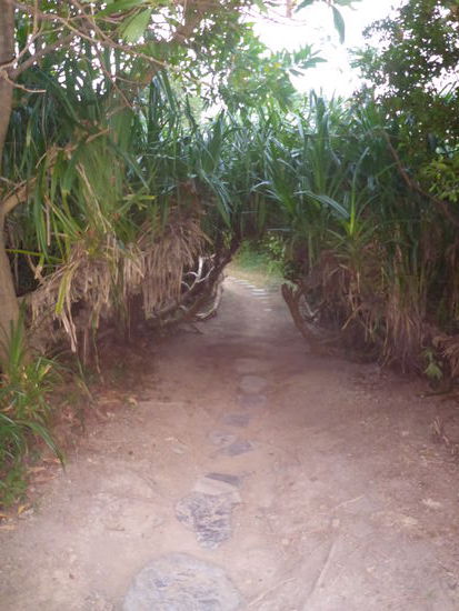 Teilweise schöne Wege zu den einzelnen Kanonen und Bunkeranlagen