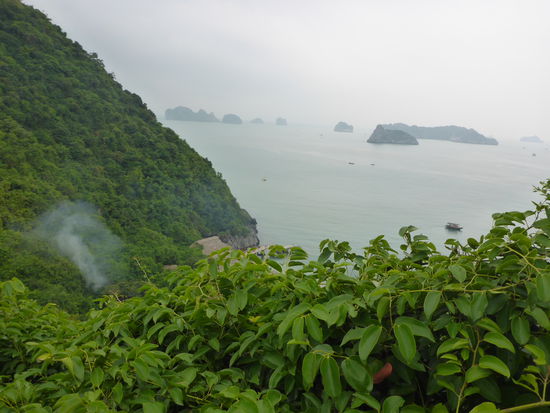 zwischen den Bäumen kann man das Dach eines kleinen Fischerhauses sehen