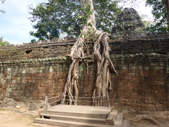 Ta Prohm