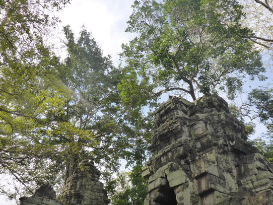 Ta Prohm
