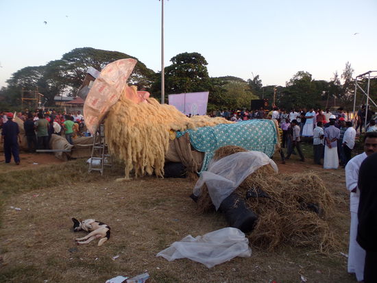 Der Nikolaus wird gebaut