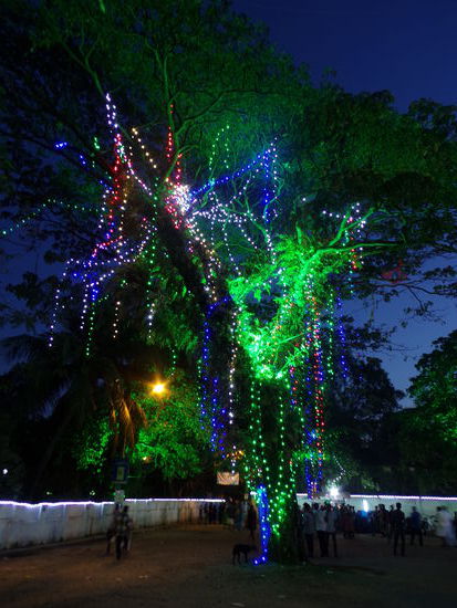 Indische Weihnachtsbeleuchtung