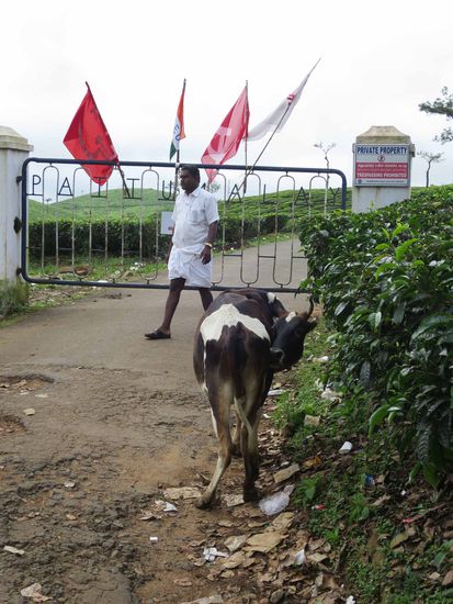 sehe ich richtig? Echt jetzt?