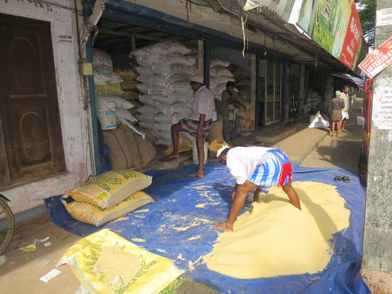 Doch, es interessiert uns, wenn in Indien ein Sack Reis umfällt!