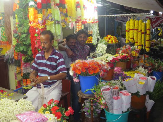 Blüten sind die Opfergabe der Hindus und Blütenketten sind ein Schutzzauber für die Mädchen ( wie praktisch)