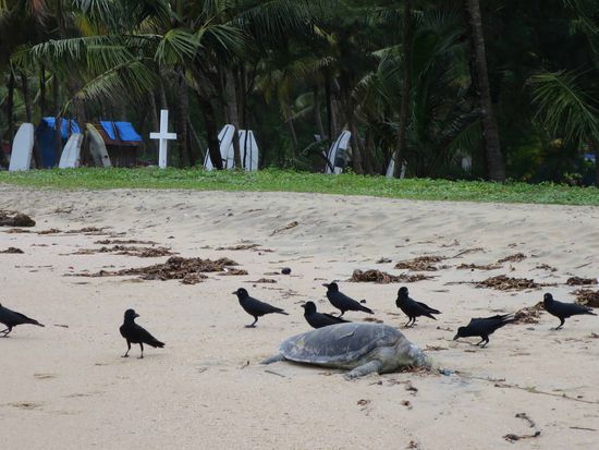 Menento Mori in der Idylle