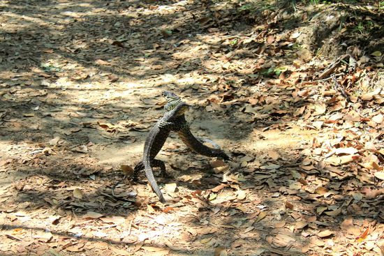 3-2-1 Fight. Mitten auf'n Fußweg