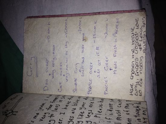 Das haben wir in einem kleinen Restaurant im nirgendwo entdeckt. Die Traveller haben aus diesen Speisekarten Tagebücher gemacht. Schön anzusehen. Ich frag mich ob der Hund wirklich so lecker ist...