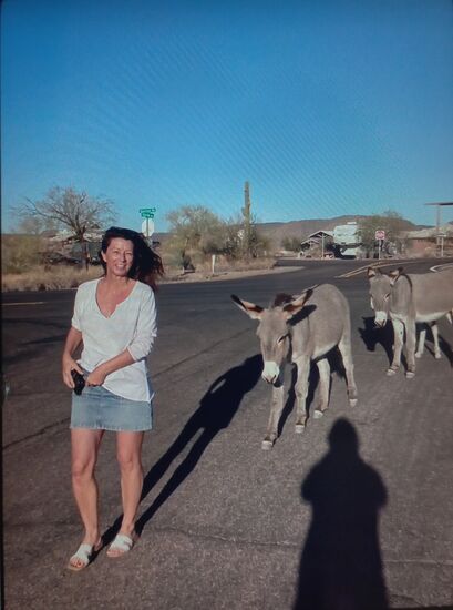 Auf der Flucht vor den Eseln