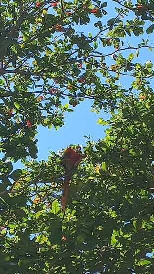 Wer beobachtet da wohl wen?