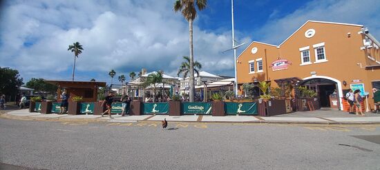 Die Bermudas und ihre Hühner