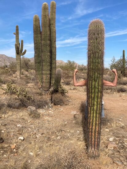 Mittlerweile verschmelzen wir mit der Umgebung
