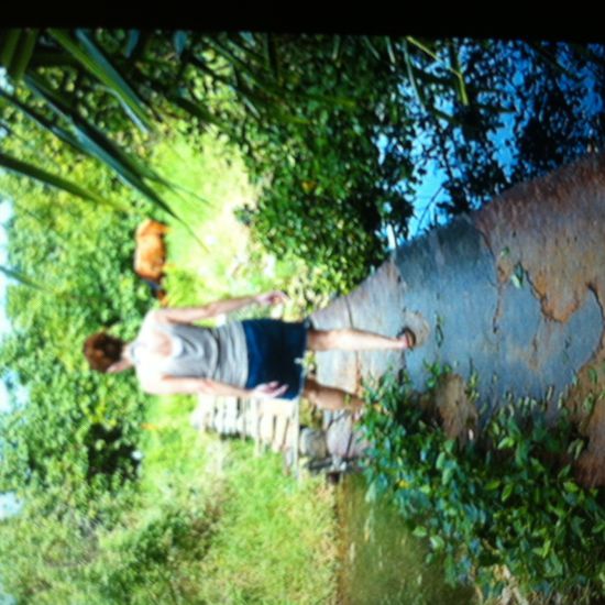 Wenn das Pferd  drüber ist, können wir das auch!