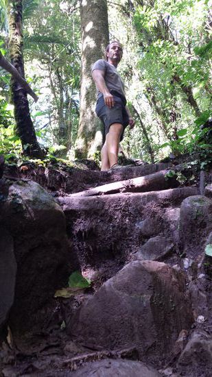 Über Stock und über Stein. ...