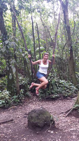 Und dann baumelt noch eine Liane rum,  ein Stein lag davor. ...da liegt das schaukeln doch sehr nah!