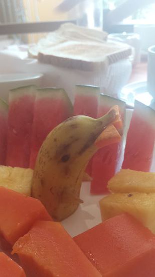 Flipper zum Frühstück und der Tag kann beginnen!!