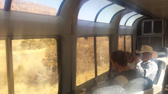 Unsere neuen  Zug -Kumpels